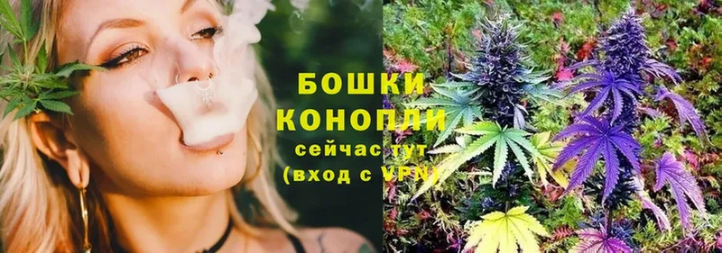 сколько стоит  Бакал  МАРИХУАНА индика 